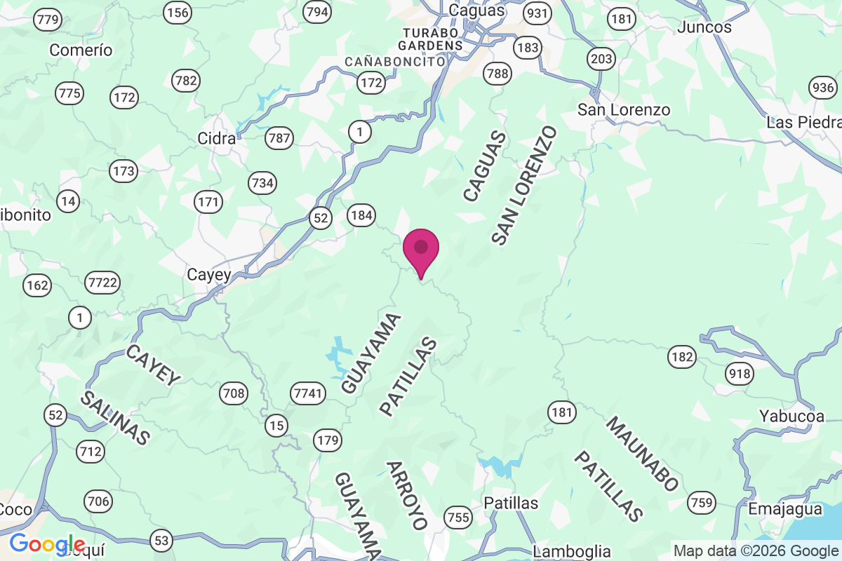 Carte de Campamento Guavate
