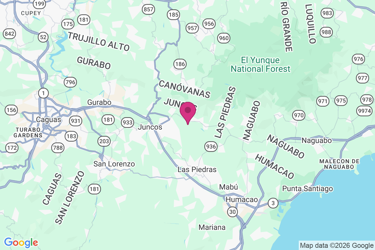 Carte de El Mango