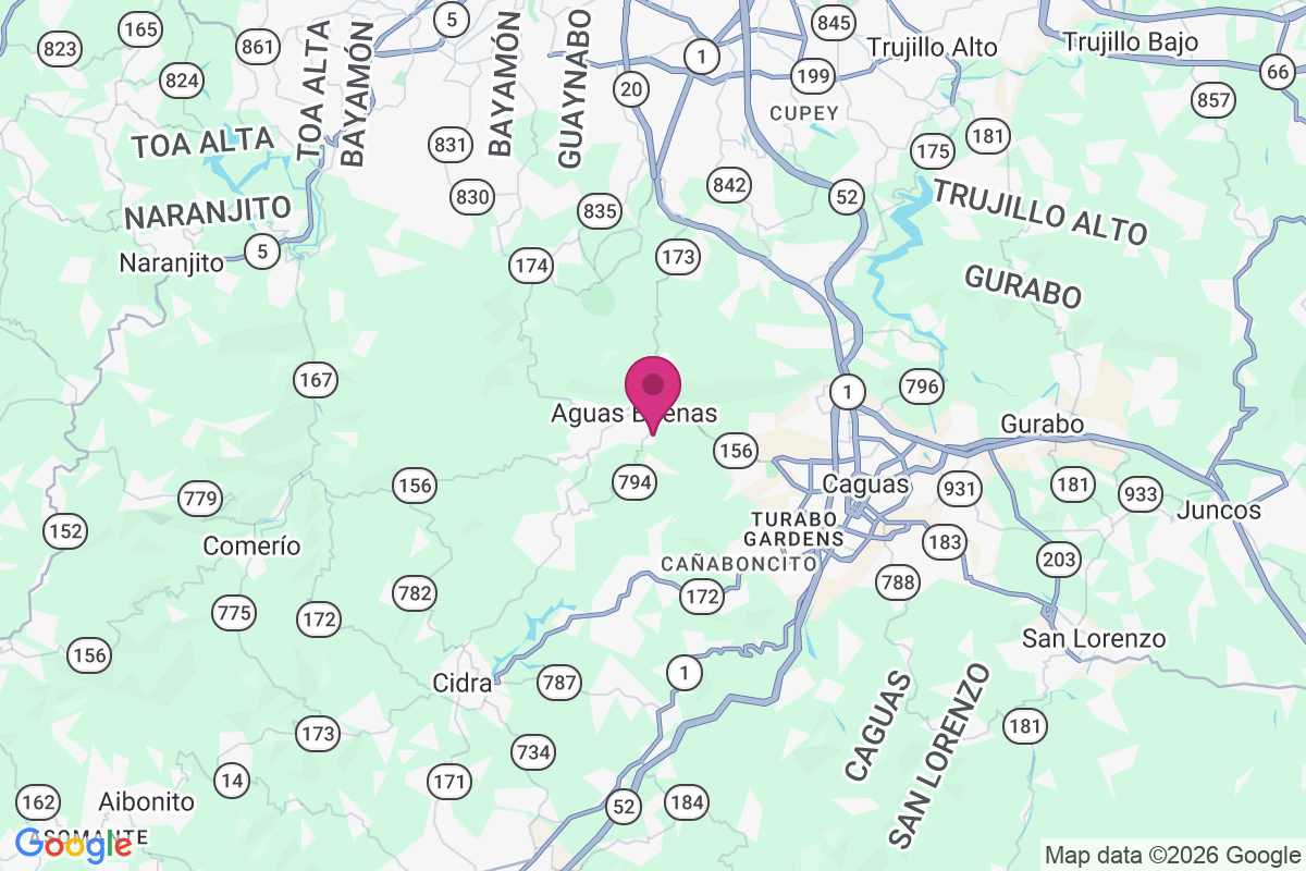 Carte de Aguas Buenas