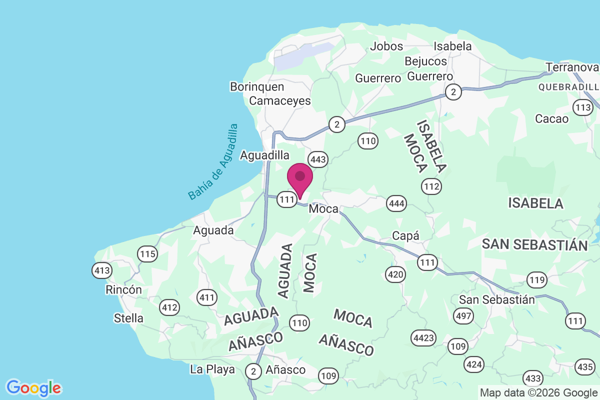 Carte de Centro Palmar