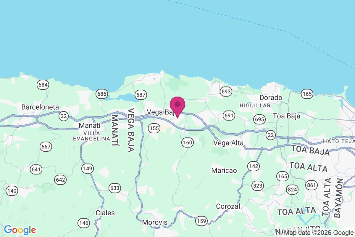 Carte de Vega Baja