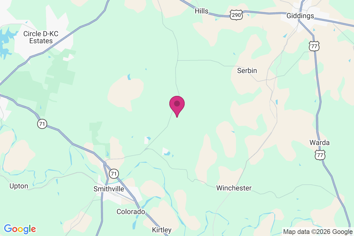 Carte de Pin Oak