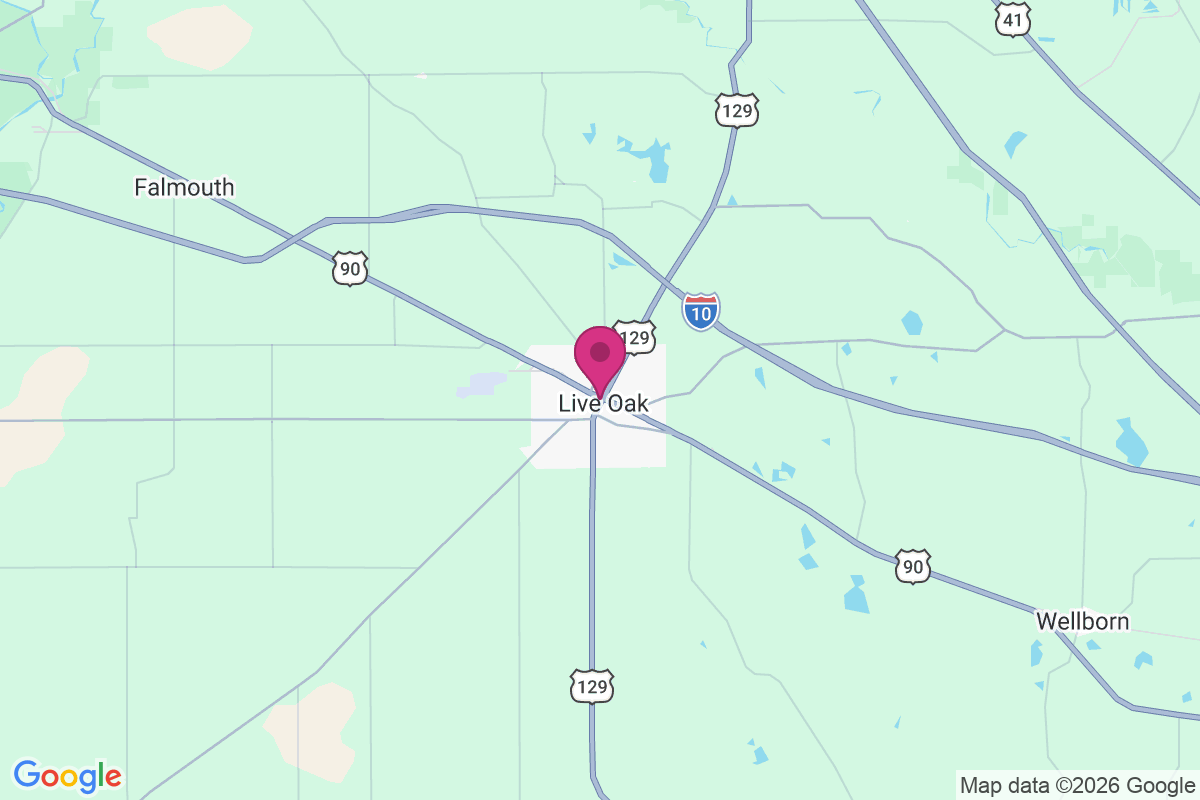 Carte de Live Oak