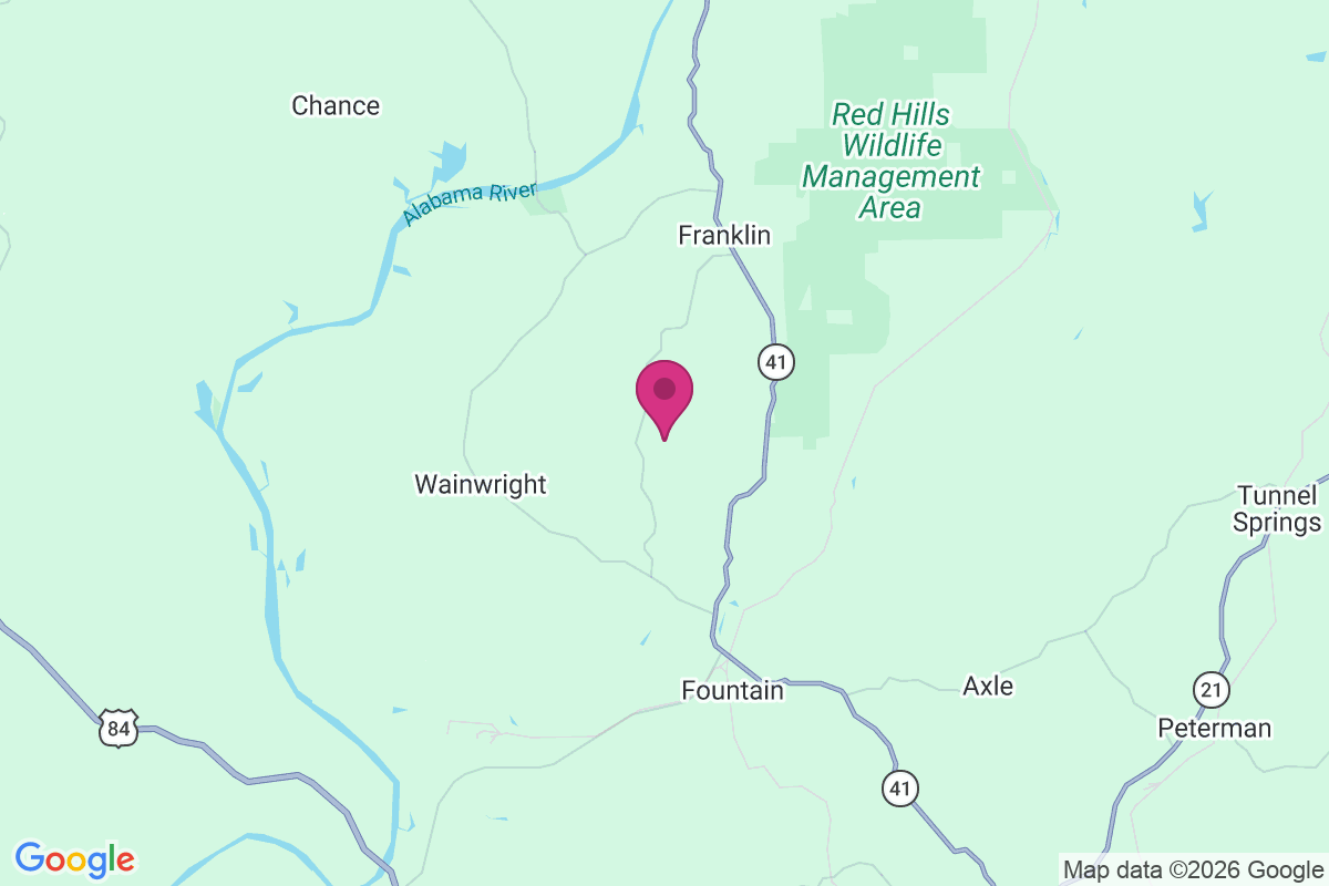 Carte de Scratch Ankle