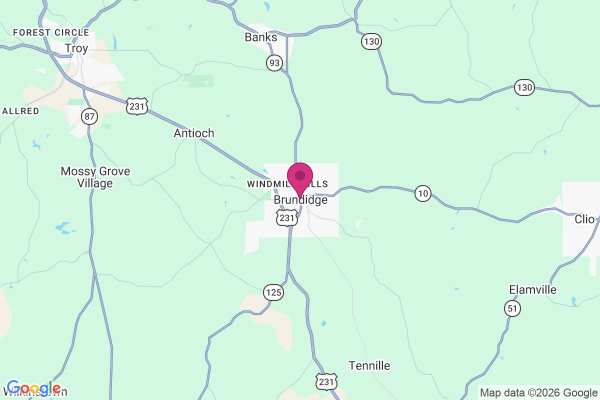 Carte de Brundidge