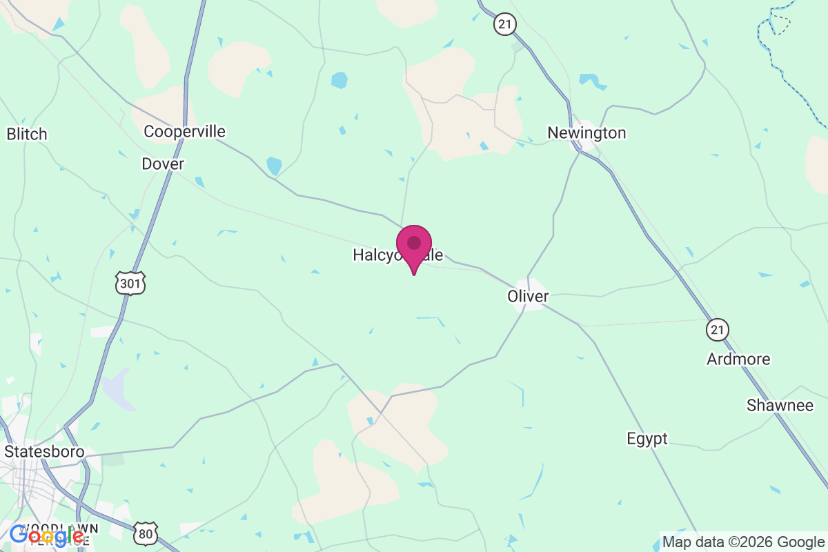 Carte de Halcyondale