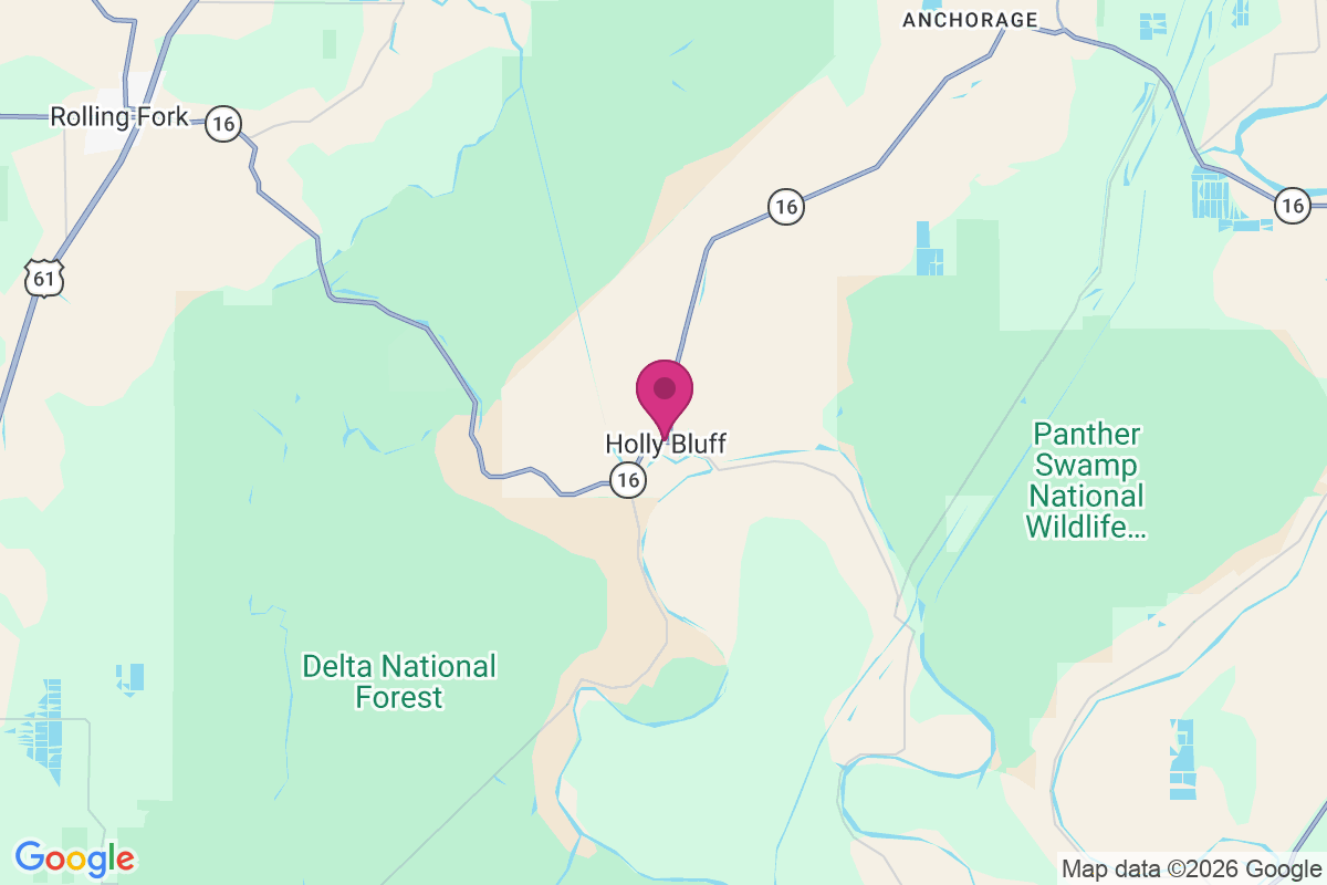 Carte de Holly Bluff