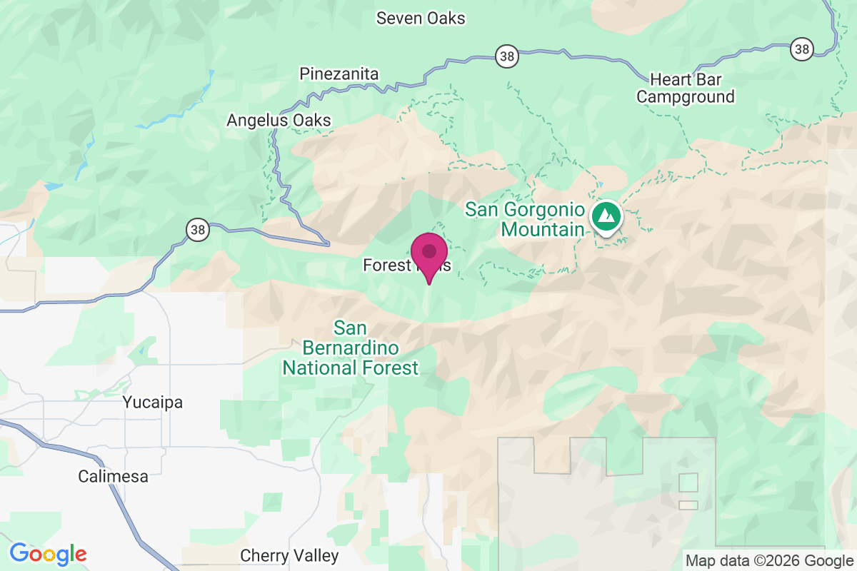 Carte de Forest Falls