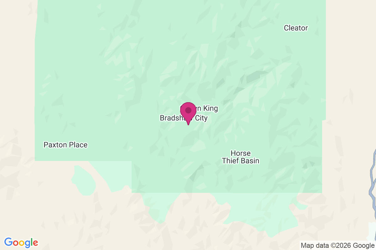 Carte de Bradshaw City