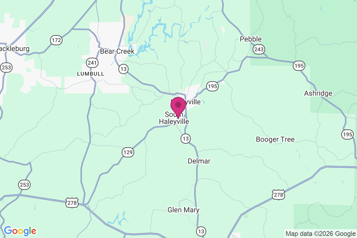Carte de South Haleyville