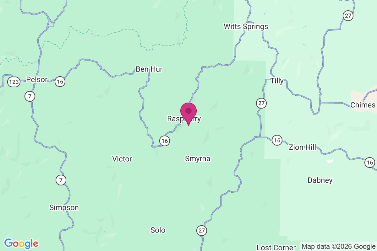 Carte de Raspberry