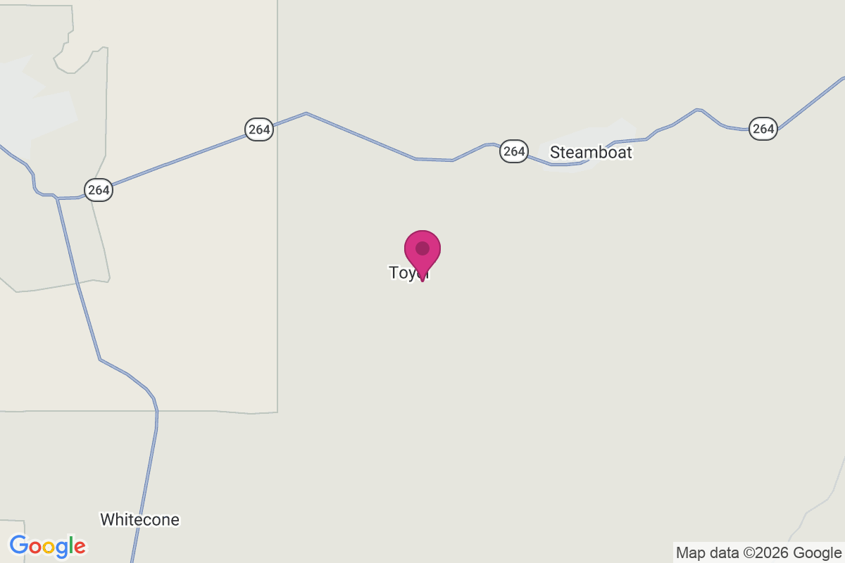Carte de Toyei