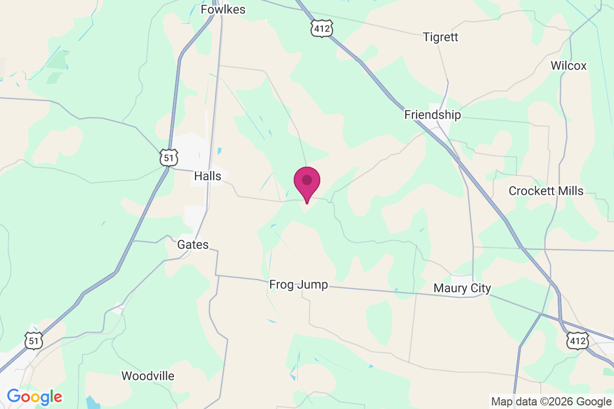 Carte de Chestnut Bluff