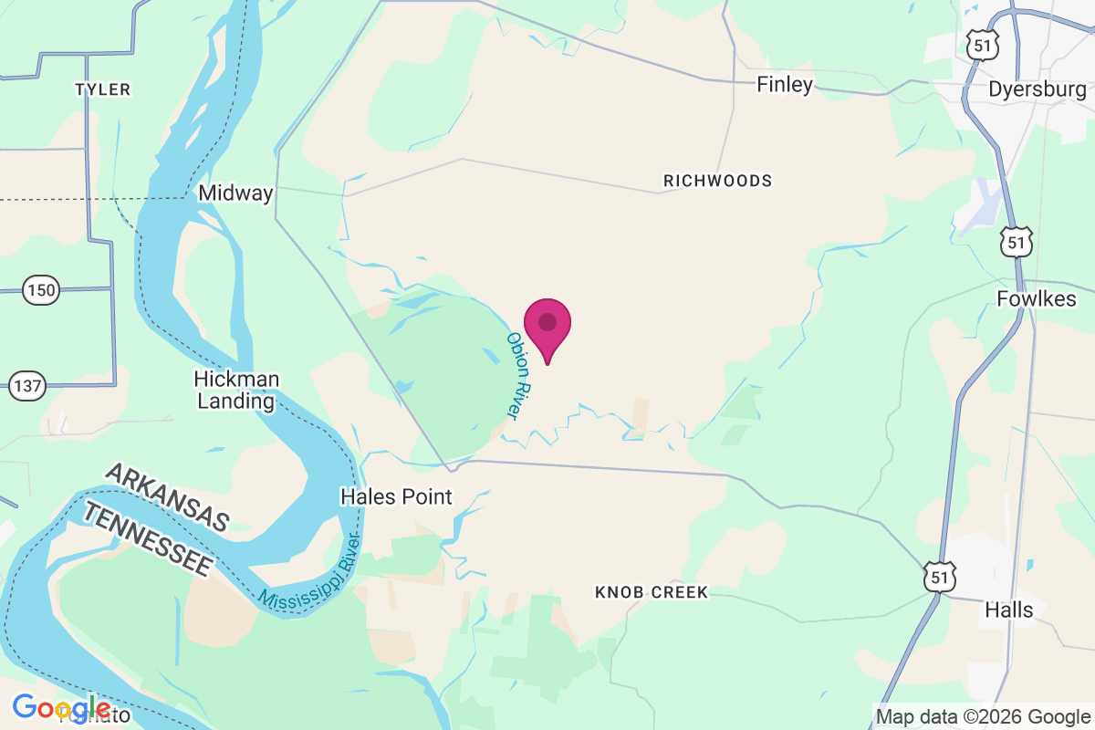 Carte de Stinger