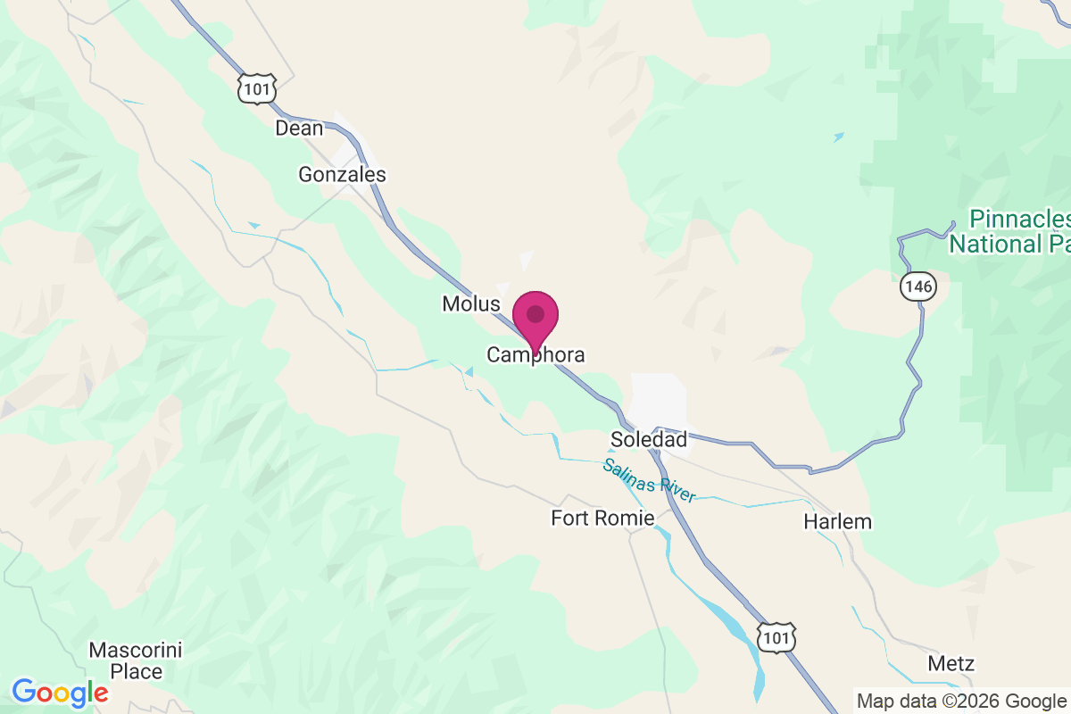 Carte de Camphora