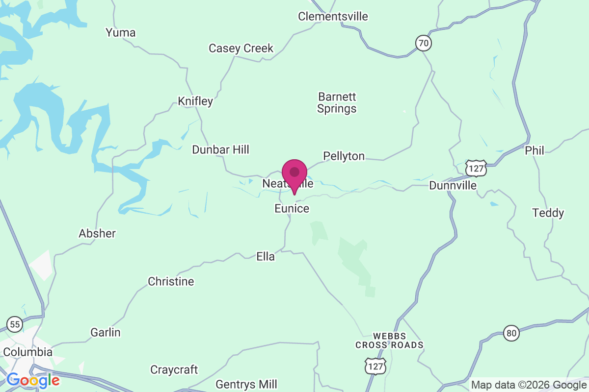 Carte de Neatsville