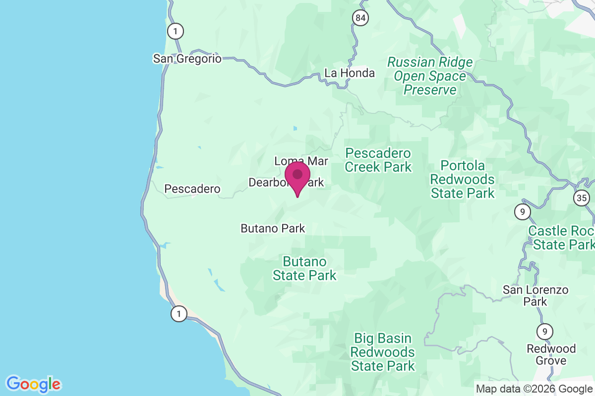 Carte de Dearborn Park