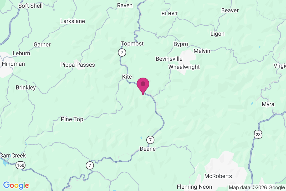 Carte de Puncheon