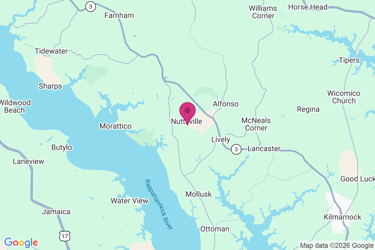 Carte de Nuttsville