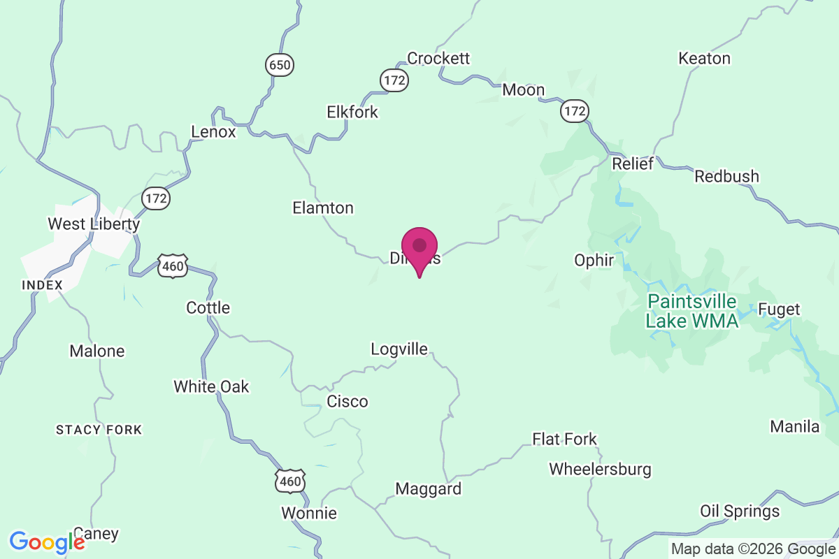 Carte de Dingus