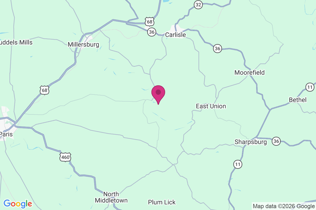 Carte de Jackstown