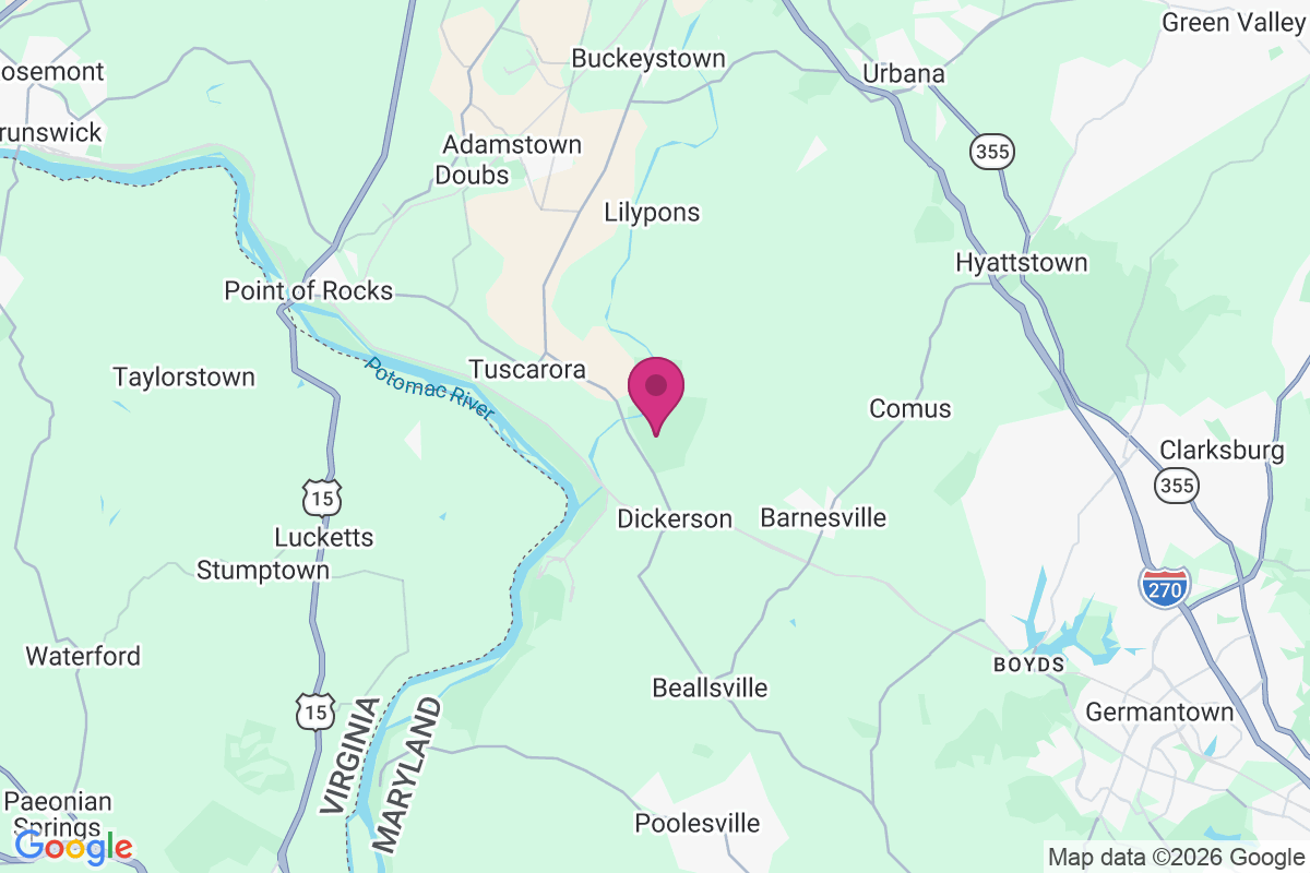 Carte de Furnace Ford