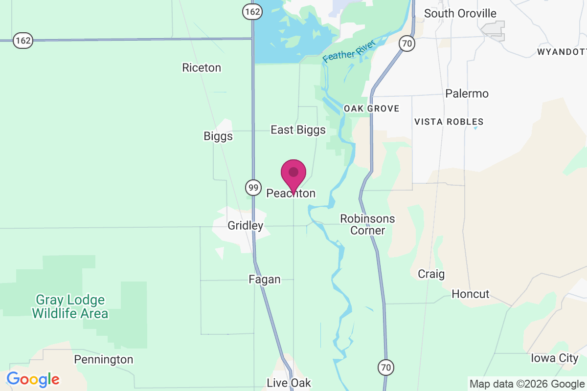 Carte de Peachton