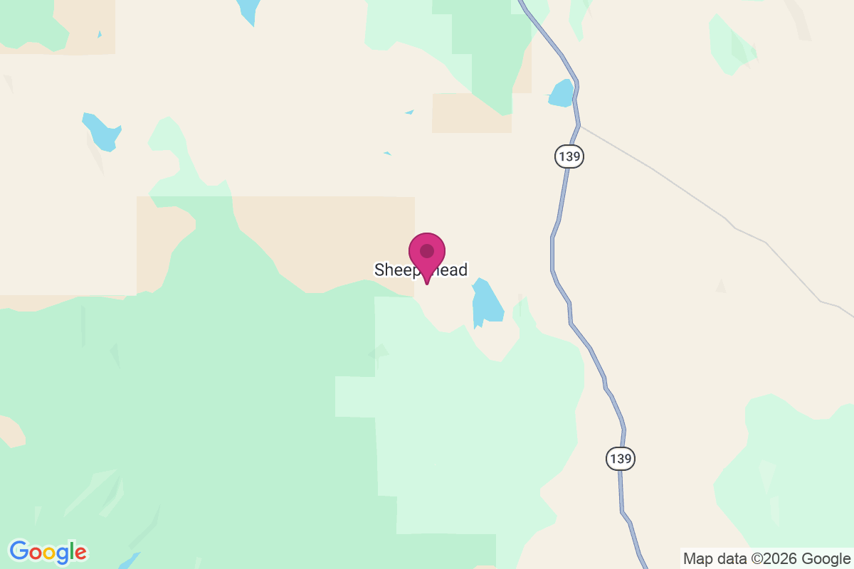 Carte de Sheepshead