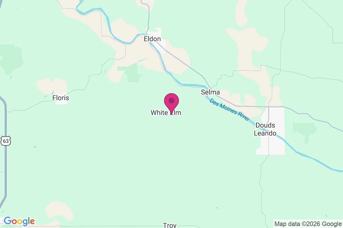 Carte de White Elm