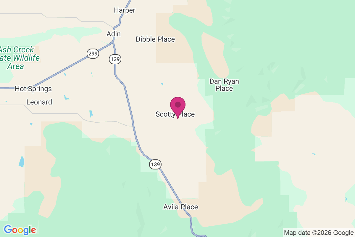 Carte de Scotty Place