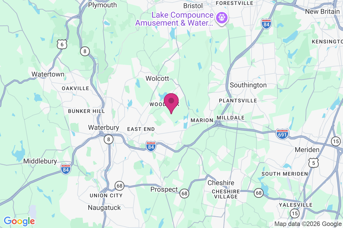 Carte de Woodtick