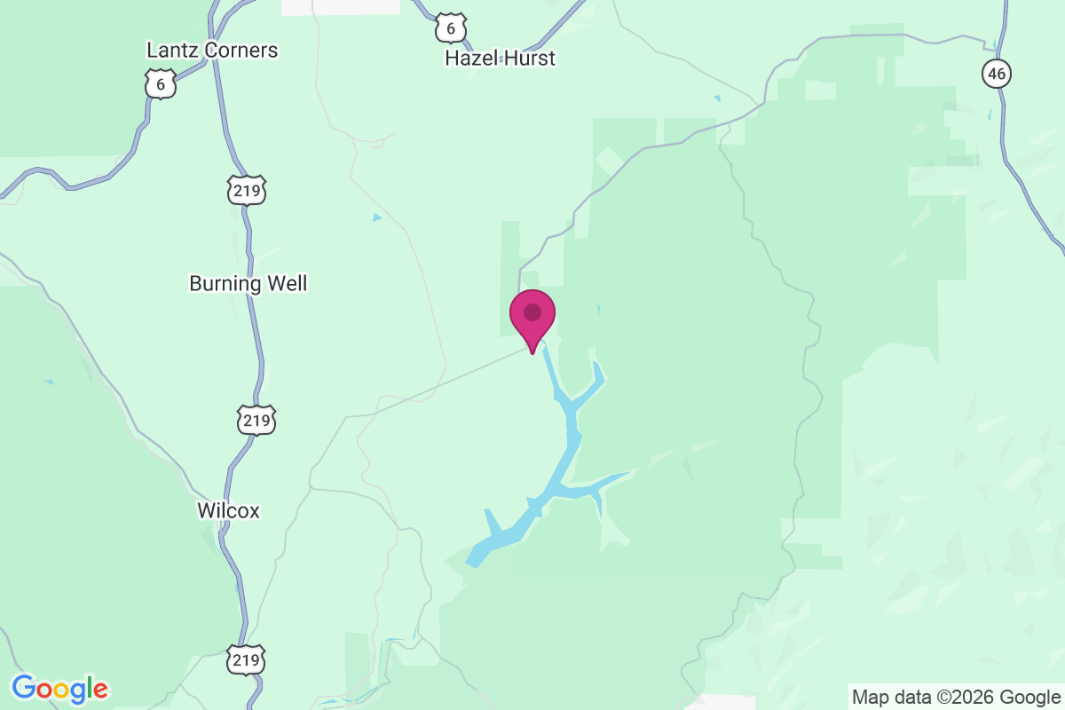 Carte de Williamsville
