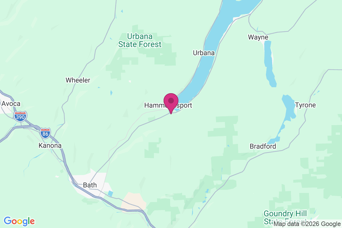 Carte de Hammondsport