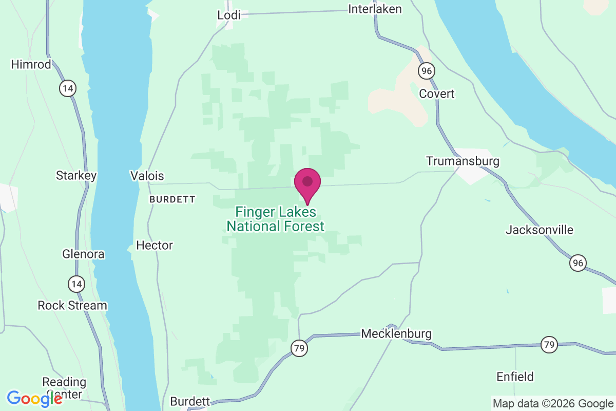 Carte de East Steamburg