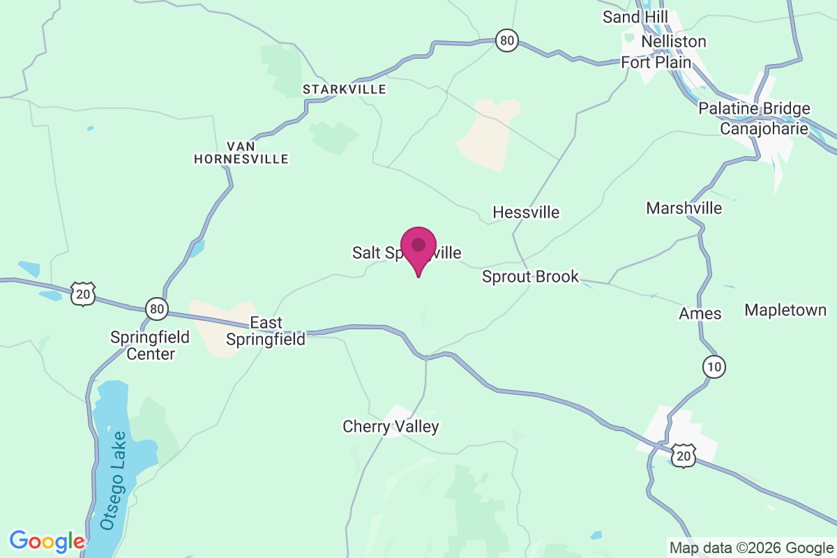 Carte de Salt Springville