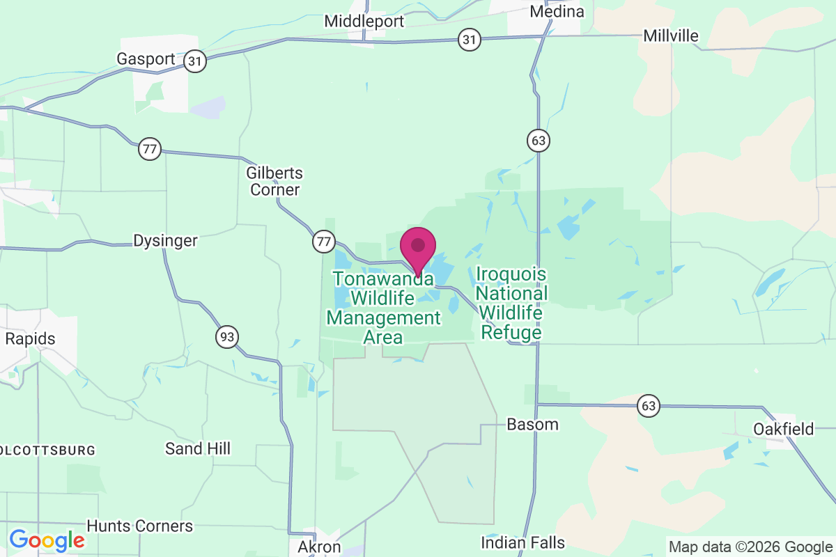 Carte de West Alabama