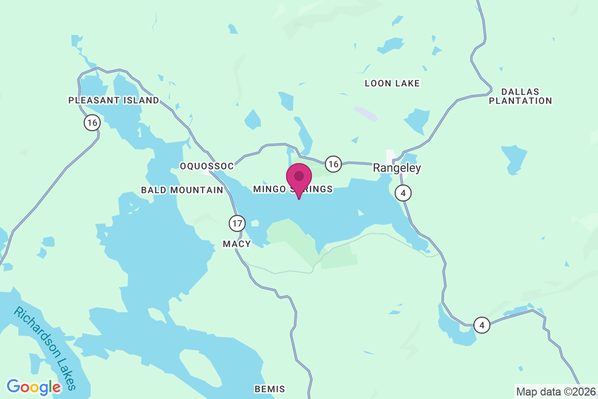Carte de Mingo Springs