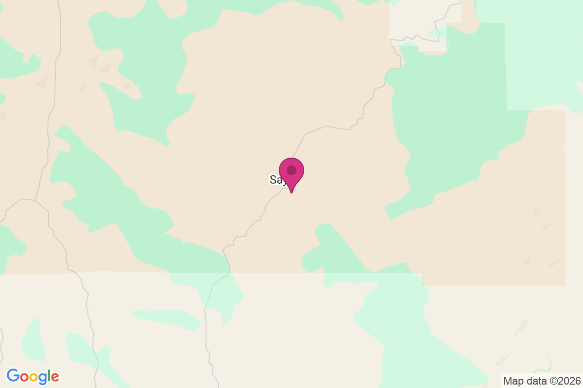 Carte de Sayle