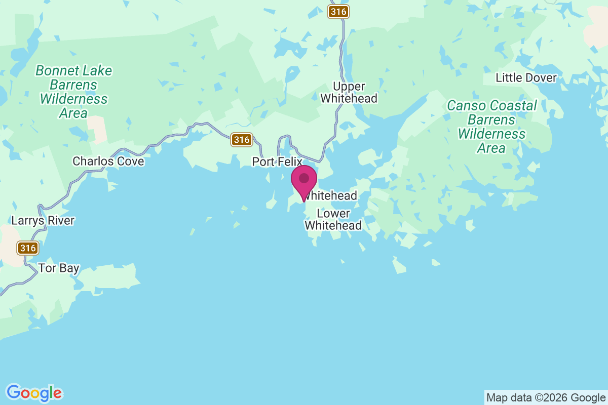 Carte de Whitehead