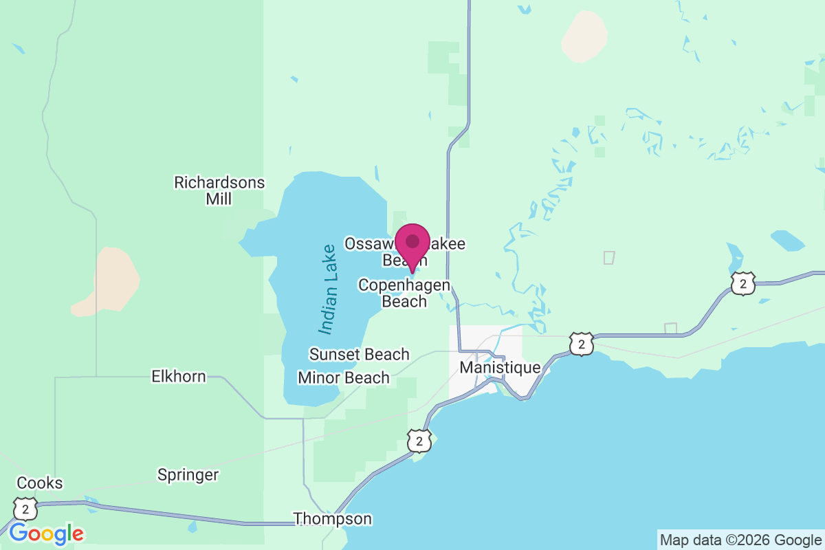 Carte de Ossawinamakee Beach