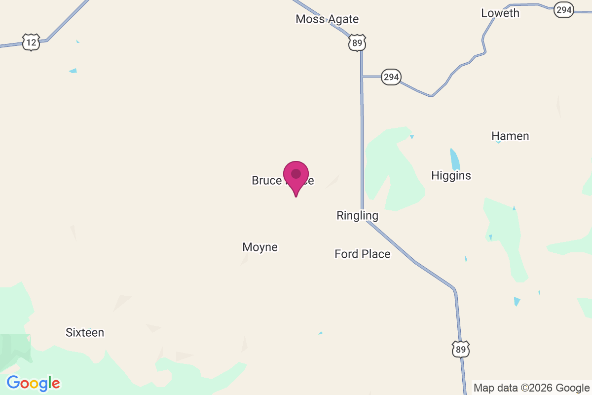 Carte de Bruce Place