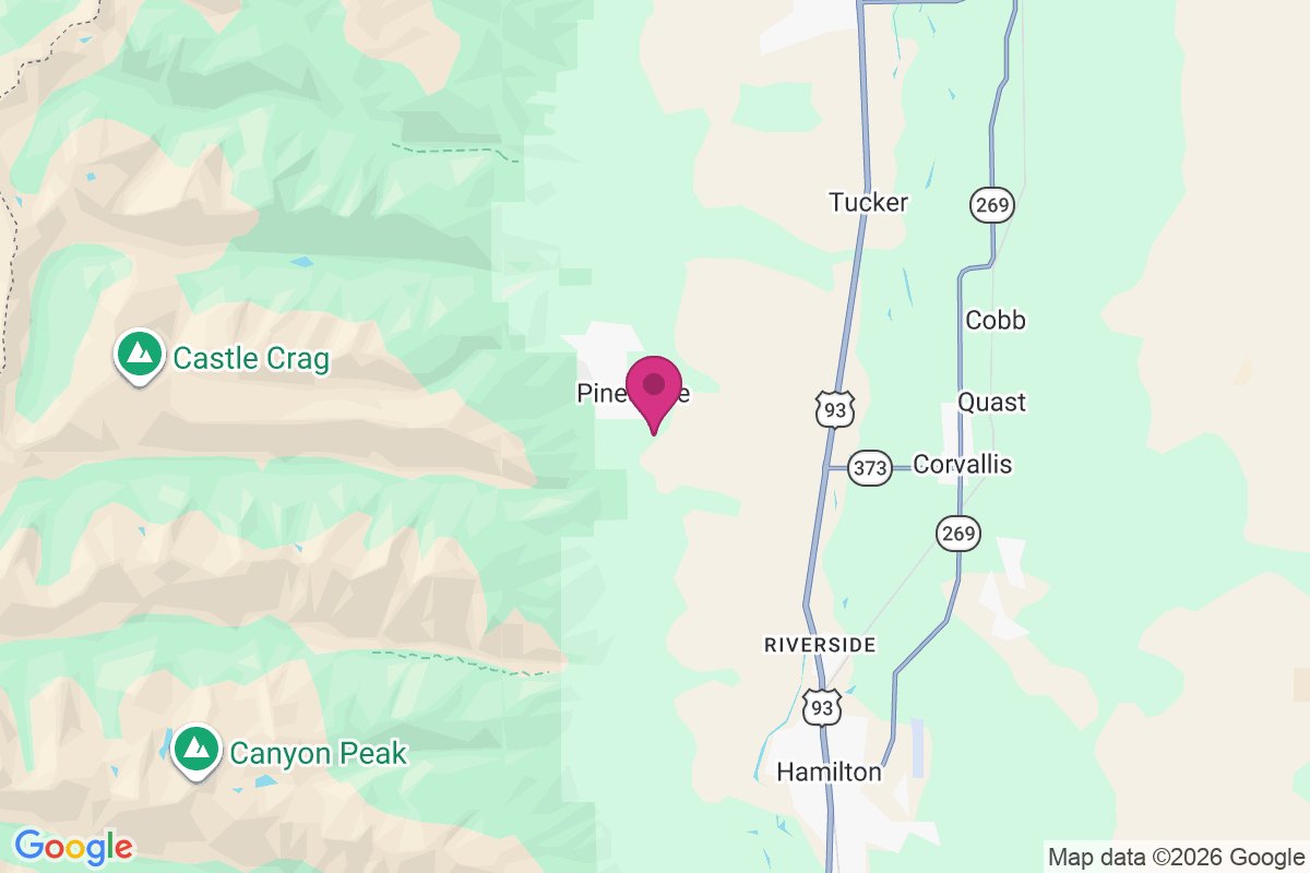 Carte de Pinesdale