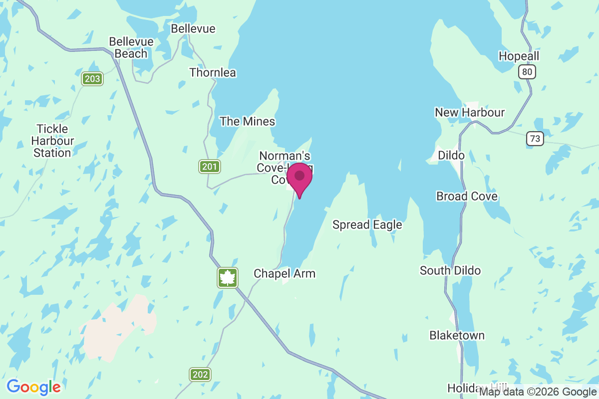 Carte de Normans Cove