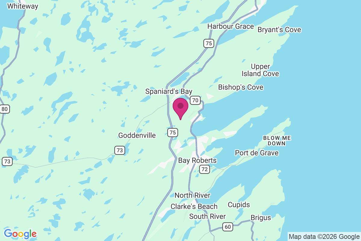 Carte de Spaniard's Bay