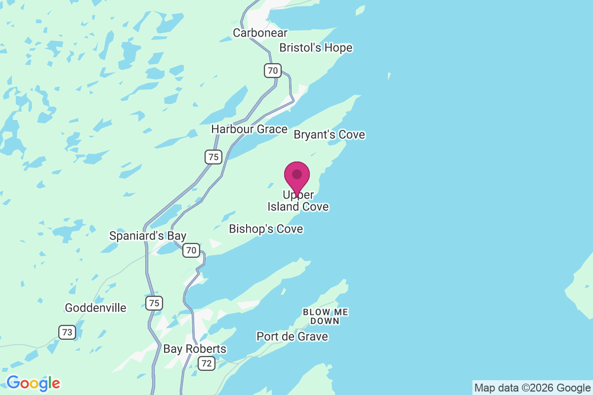 Carte de Upper Island Cove