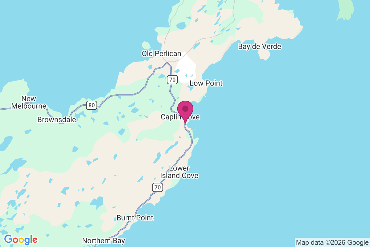 Carte de Caplin Cove