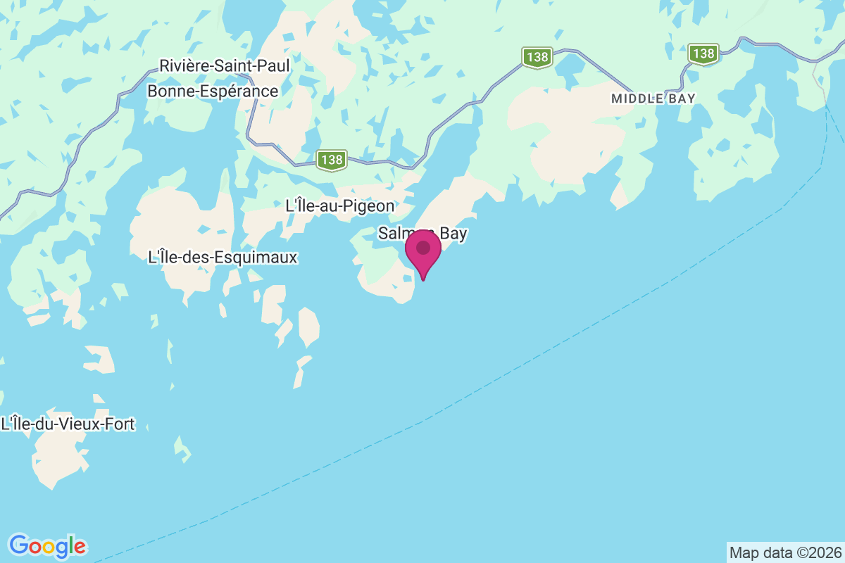Carte de Salmon Bay