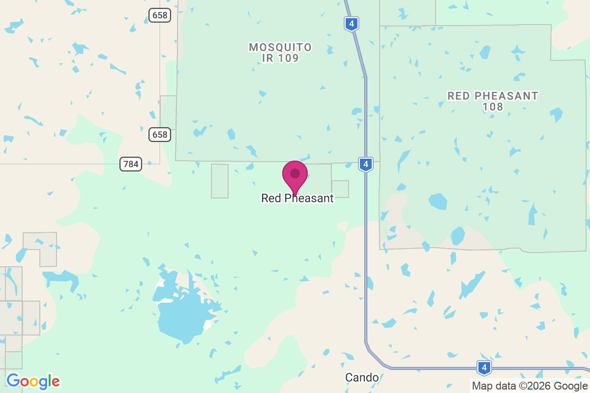 Carte de Red Pheasant