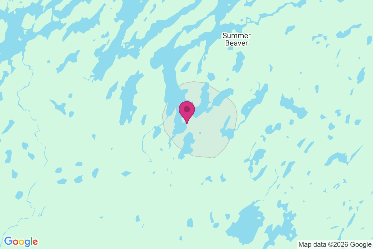 Carte de Pickle Lake