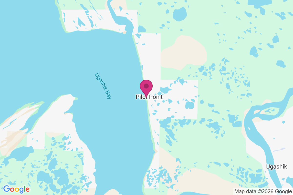 Carte de Pilot Point